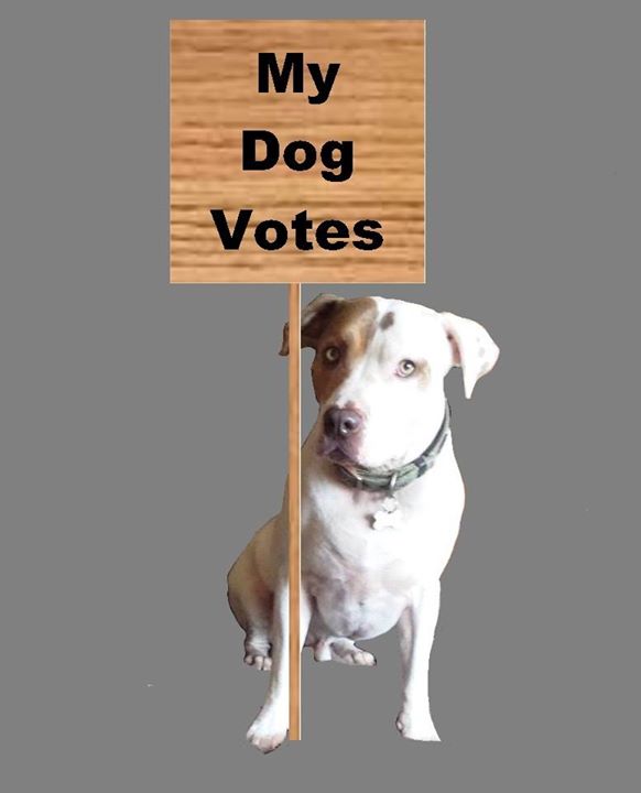 My Dog Votes